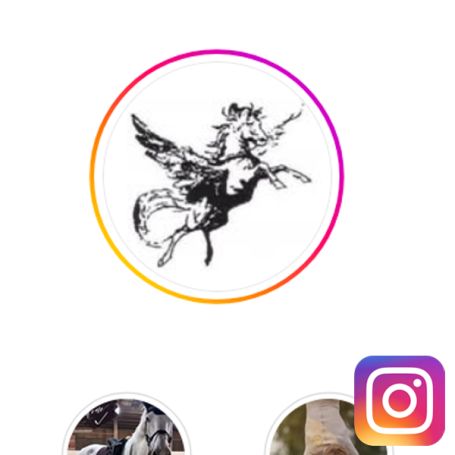 Instagram der S-Gruppe