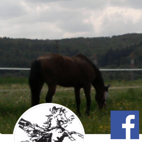 Facebook Pegasus